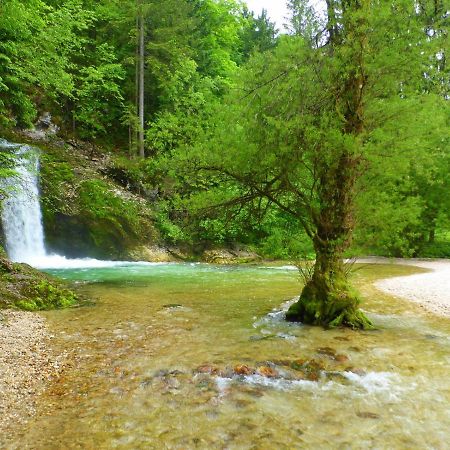 Boutique House Vresje Villa Bohinjska Bistrica Exteriör bild