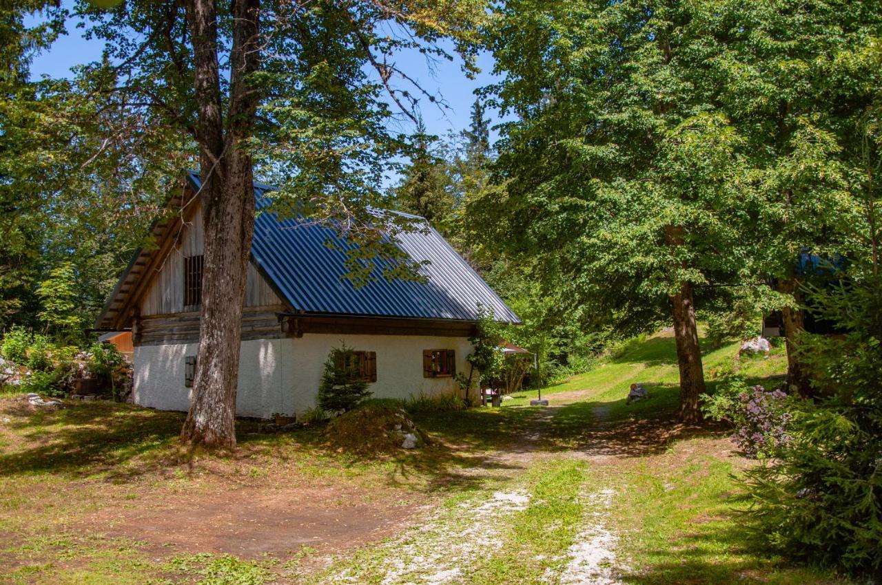 Boutique House Vresje Villa Bohinjska Bistrica Exteriör bild