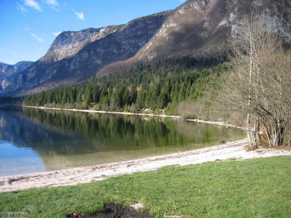 Boutique House Vresje Villa Bohinjska Bistrica Exteriör bild